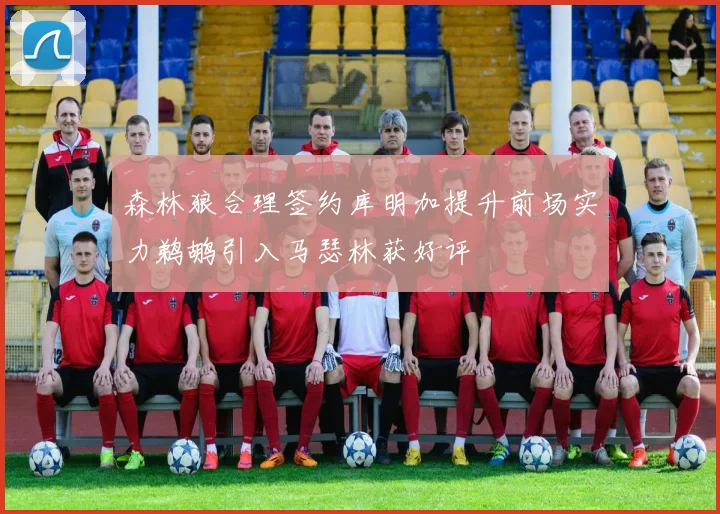 森林狼合理签约库明加提升前场实力鹈鹕引入马瑟林获好评