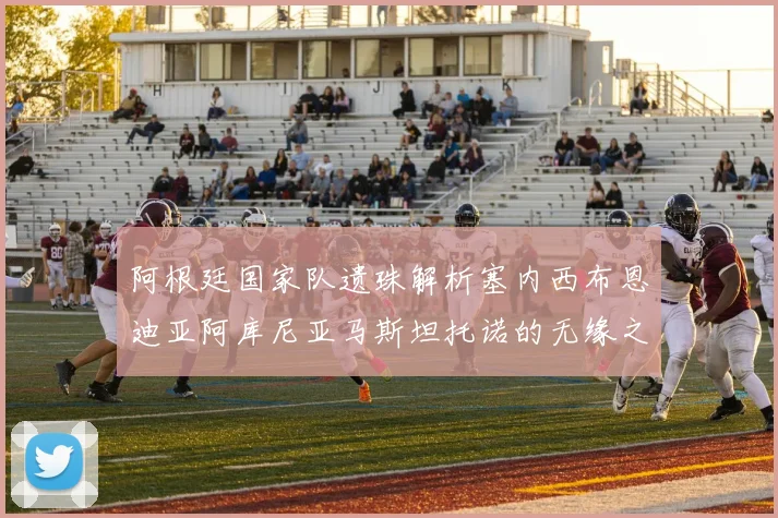阿根廷国家队遗珠解析塞内西布恩迪亚阿库尼亚马斯坦托诺的无缘之路
